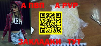 шишки Ставрополь